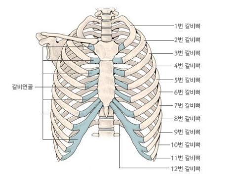 自体肋软骨造耳后该怎样护理